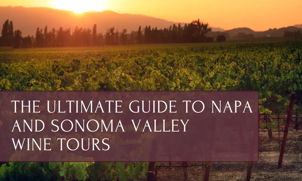 The Ultimate Guide to Napa and Sonoma Valley Wine Tours